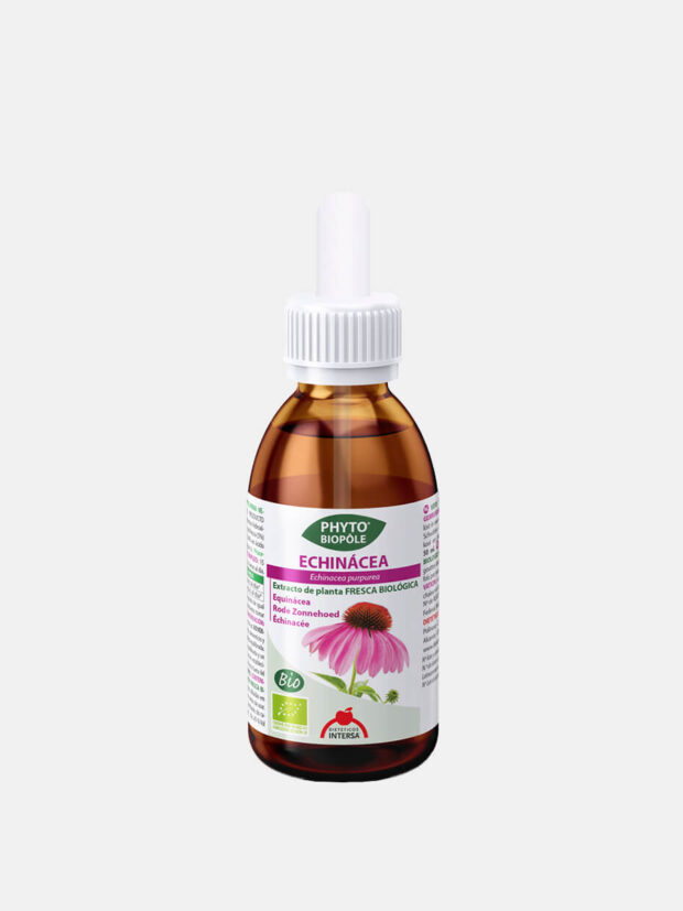 ECHINACEA