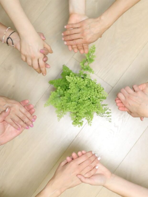 Constelaciones familiares RET e1692443838442