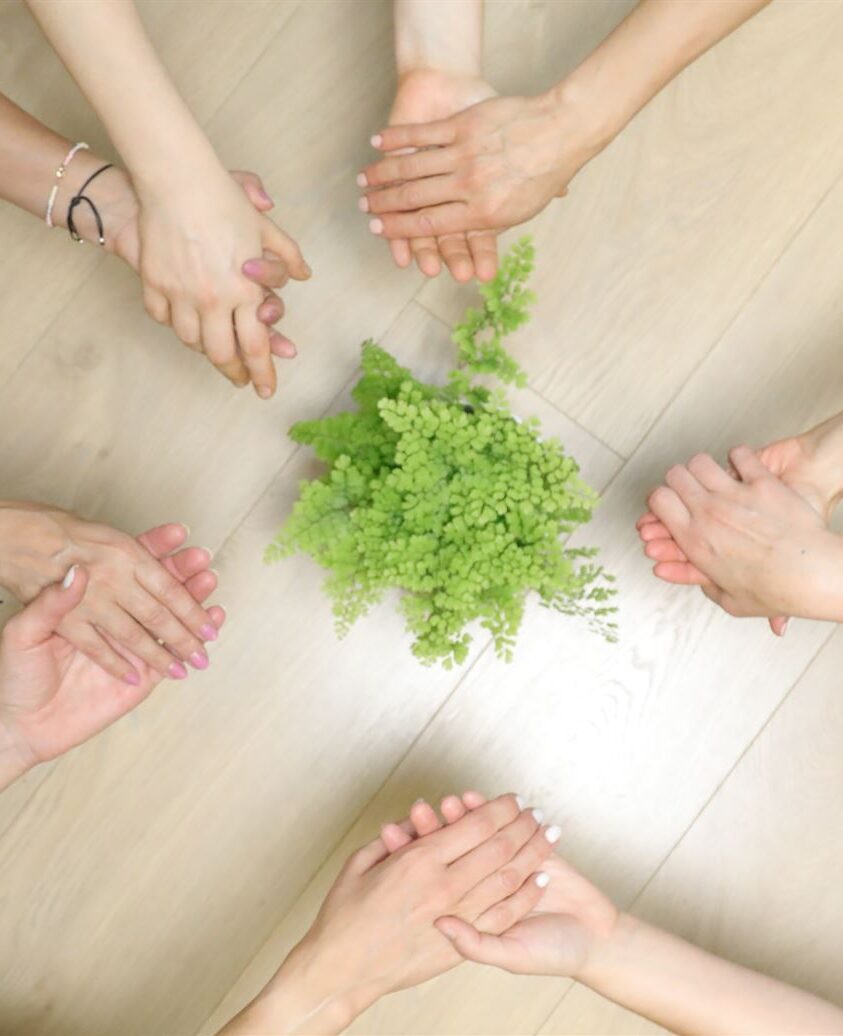 Constelaciones familiares RET e1692443838442