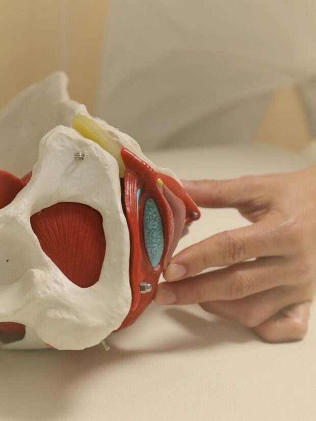 Fisioterapia suelo pelvico ret 1 e1692444102760