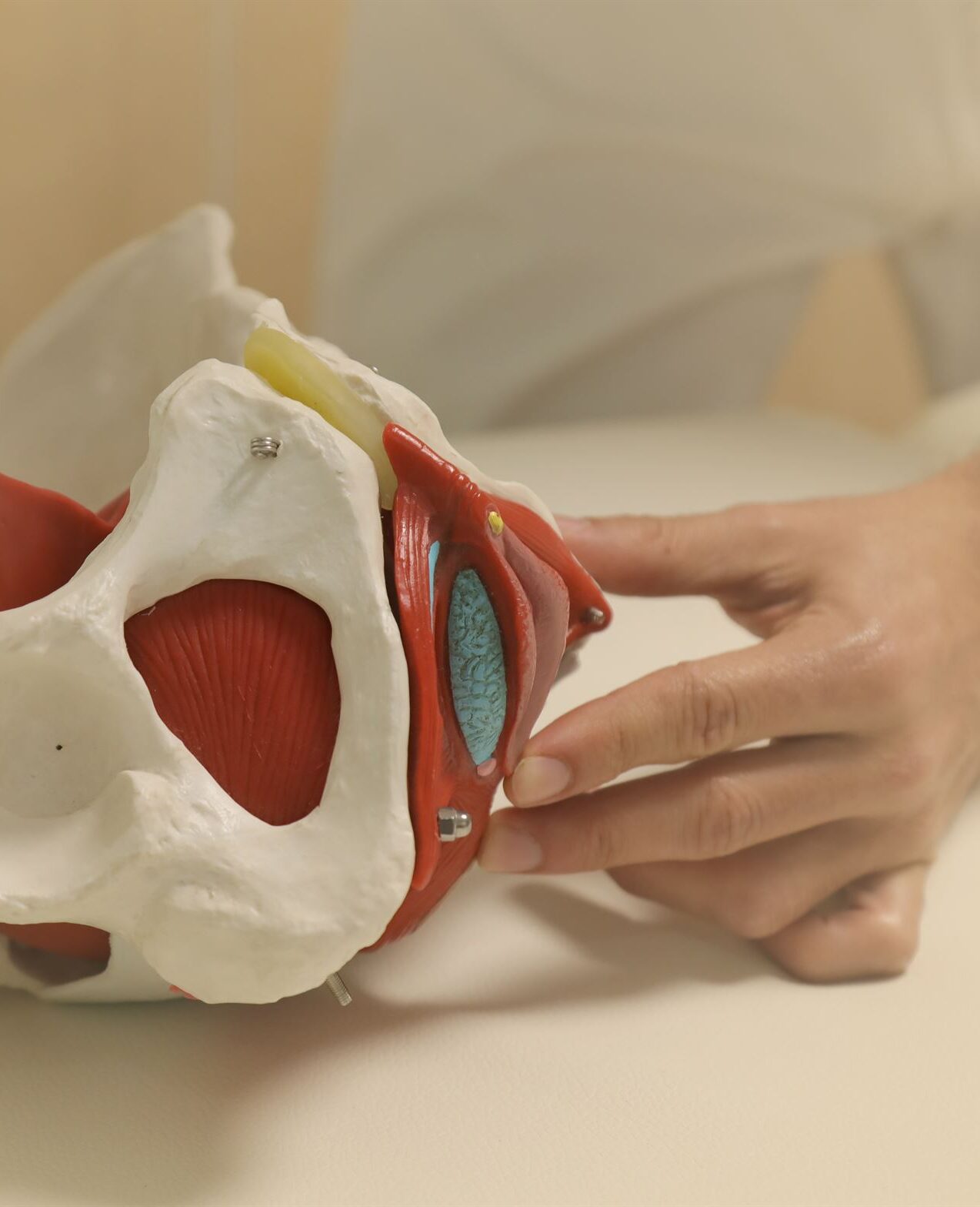 Fisioterapia suelo pelvico ret 1 e1692444102760