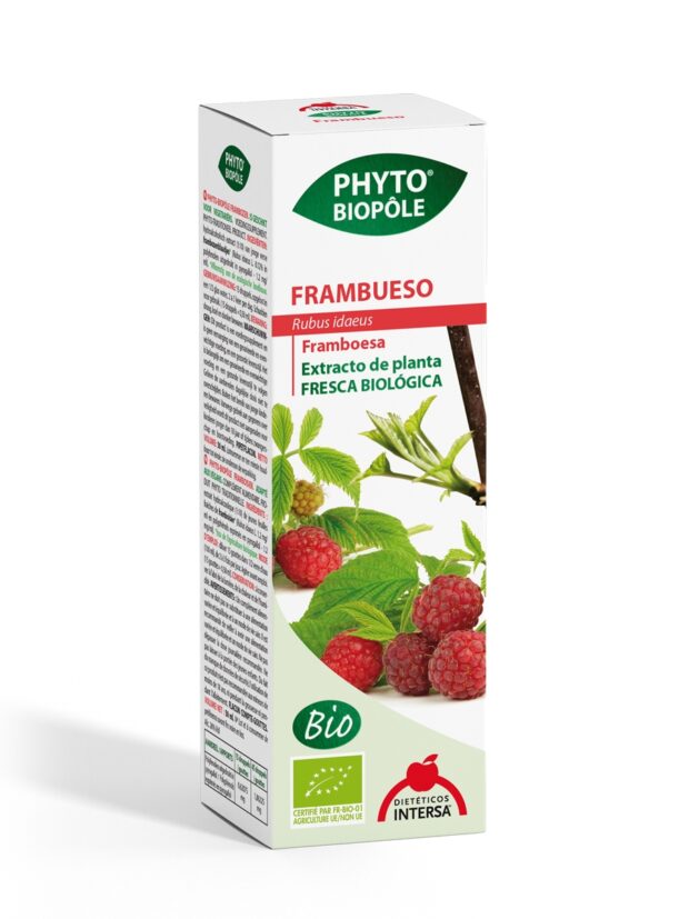 FRAMBUESO