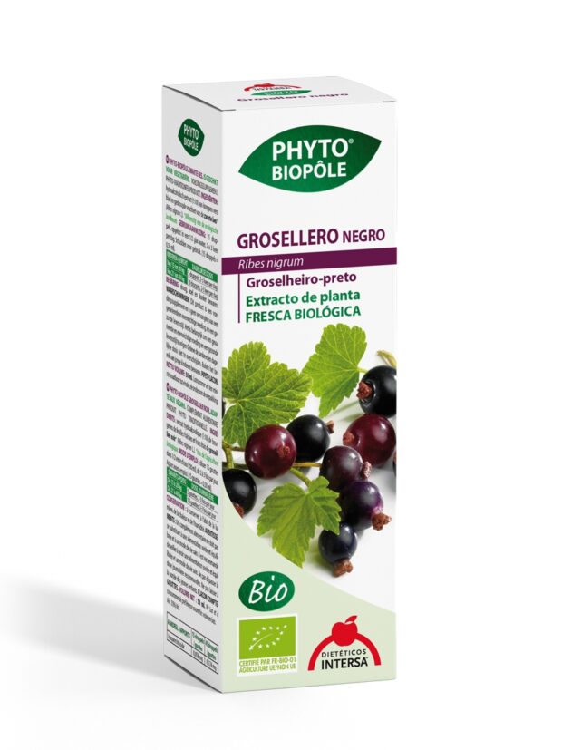GROSELLERO NEGRO 1