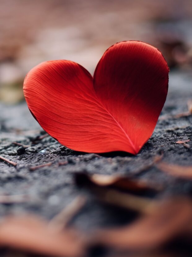 DIRECTO AL CORAZON BONA