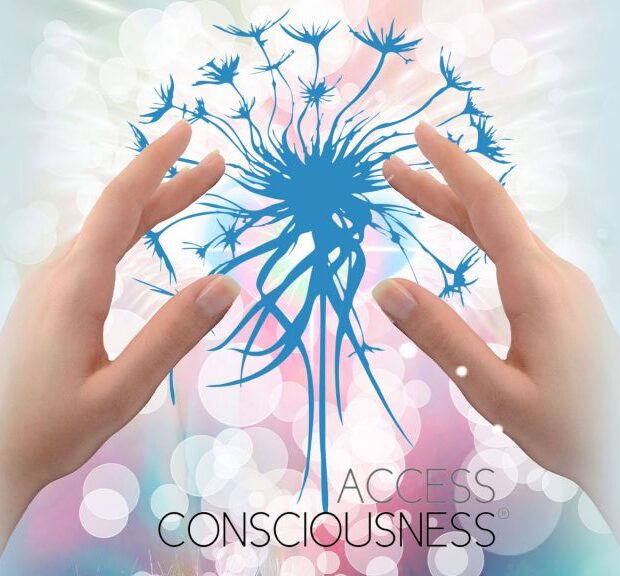 ACCESS BARS ANI MOLINARI x